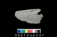 藏品(石刀)的圖片