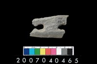 藏品(石刀)的圖片