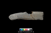 藏品(石鐮)的圖片