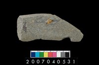 藏品(石鐮)的圖片