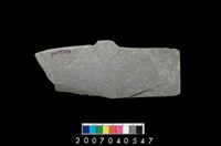 藏品(石鐮)的圖片