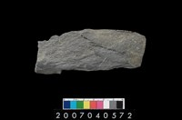 藏品(石鐮)的圖片