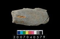 藏品(石鐮)的圖片