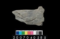 藏品(石鐮)的圖片