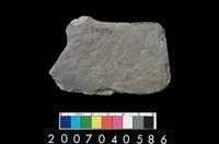 藏品(石鐮)的圖片