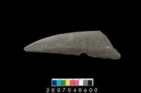 藏品(石鐮)的圖片