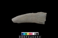 藏品(石鐮)的圖片