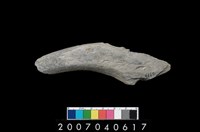 藏品(石鐮)的圖片