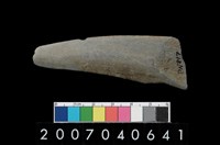 藏品(石鐮)的圖片