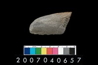 藏品(石鐮)的圖片