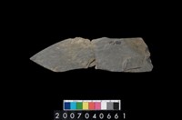 藏品(石鐮)的圖片