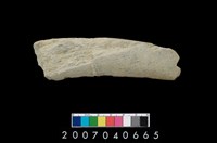 藏品(石鐮)的圖片