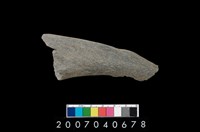 藏品(石鐮)的圖片