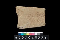 藏品(磨製石器殘件)的圖片