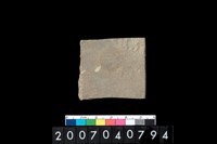 藏品(磨製石器殘件)的圖片