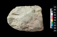 藏品(石錛)的圖片