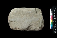 藏品(石錛)的圖片