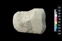 藏品(石錛)的圖片