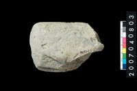 藏品(石錛)的圖片