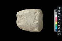 藏品(石錛)的圖片