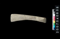 藏品(石錛)的圖片