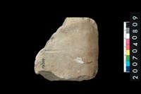 藏品(石錛)的圖片