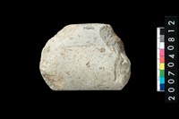 藏品(石錛)的圖片