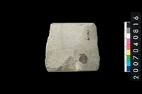 藏品(石錛)的圖片