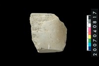 藏品(石錛)的圖片