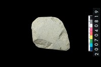 藏品(石錛)的圖片