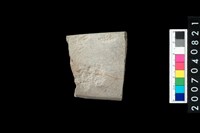 藏品(石錛)的圖片