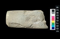 藏品(石錛)的圖片