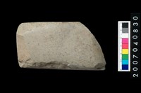 藏品(石錛)的圖片