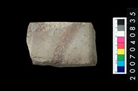 藏品(石錛)的圖片