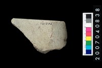 藏品(石錛)的圖片