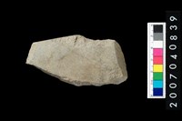 藏品(石錛)的圖片