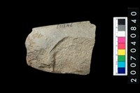 藏品(石錛)的圖片