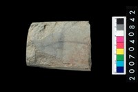 藏品(石錛殘件)的圖片