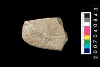 藏品(石錛)的圖片