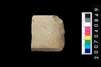 藏品(石錛)的圖片