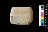 藏品(石錛)的圖片