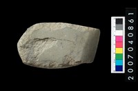 藏品(石錛)的圖片