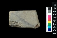 藏品(石錛)的圖片