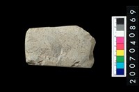 藏品(石錛)的圖片