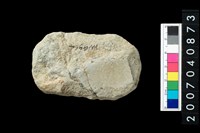 藏品(石錛)的圖片