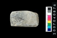 藏品(石錛)的圖片