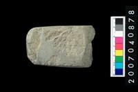 藏品(石錛)的圖片