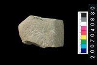 藏品(石錛)的圖片