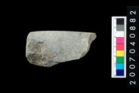 藏品(石錛)的圖片