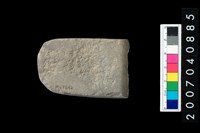 藏品(石錛)的圖片